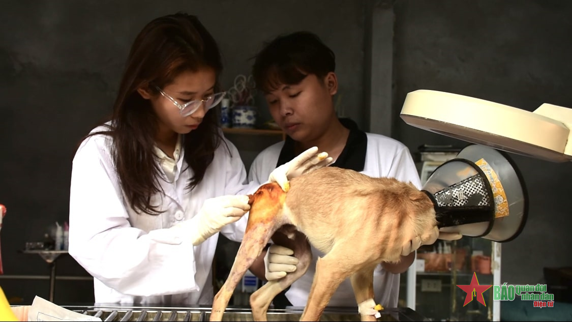 Trạm cứu hộ động vật phi lợi nhuận